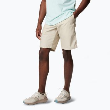Men's trekking shorts Columbia Washed Out fossil