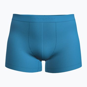 Men's thermal boxer shorts icebreaker Merino 125 Cool-Lite Anatomica arctic
