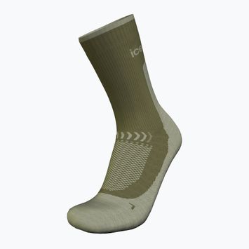 Icebreaker men's trekking socks Merino Hike+ Light Crew loden/lichen