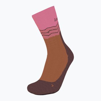 Icebreaker women's trekking socks Merino Hike+ Medium Crew Across the Peaks pop/carob