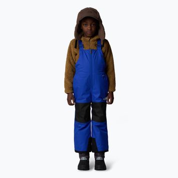 The North Face Kid Freedom Insulated Bib blue children's ski trousers