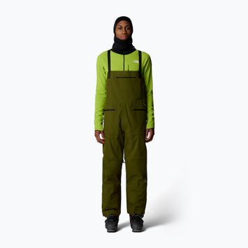 Men's ski trousers The North Face Verbier GTX Bib forest olive