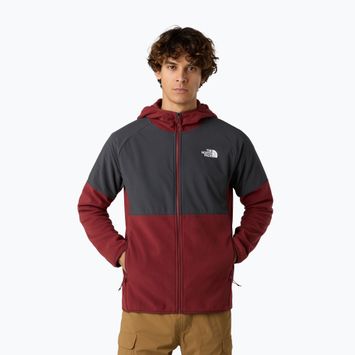 Men's sweatshirt The North Face Glacier Heavyweight Full Zip HD sumac/asphalt grey