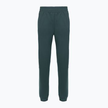 Women's trousers The North Face Mountain Athletics Fleece deep cypress/space