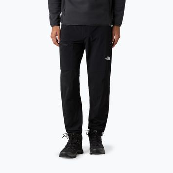 Men's softshell trousers The North Face Speedlight Regular black