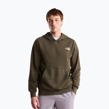 Men's sweatshirt The North Face Monte Regular Hoodie Graphic new taupe green