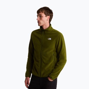 Men's sweatshirt The North Face Glacier Fleece