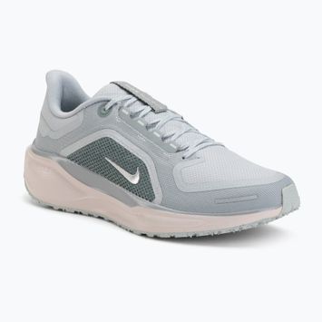 Men's running shoes Nike Pegasus 41 GTX light pumice/pure platinum/silt red/metal silver