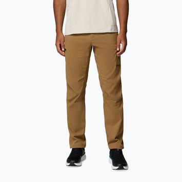 Men's trekking trousers Columbia Cosmiques Pro Nylon delta