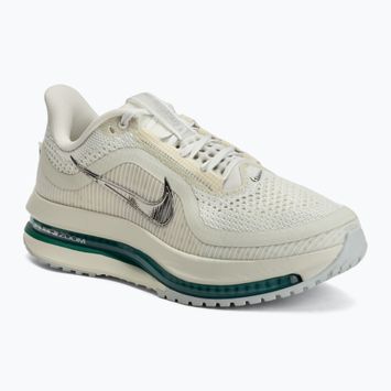 Women's running shoes Nike Pegasus Premium sea glass/malachite/metallic silver