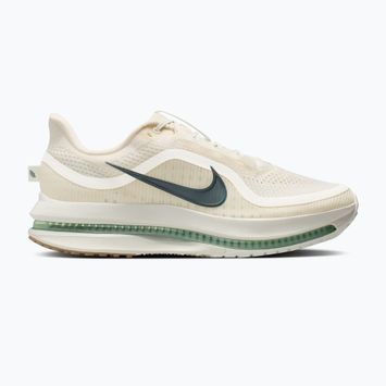 Men's running shoes Nike Pegasus Premium Pale ivory/jade horizon/black spruce