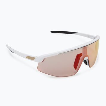 Alpina sunglasses