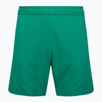 Capelli Sport Cs One Adult Match green/white children's football shorts