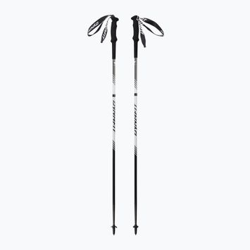 DYNAFIT Alpine Pro nimbus running poles