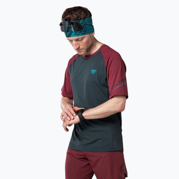 Men's DYNAFIT Alpine Pro blueberry/burgundy running shirt