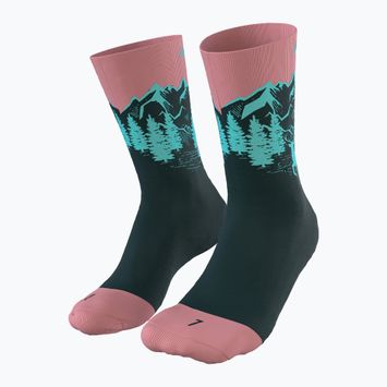 DYNAFIT Stay Fast mokarosa running socks