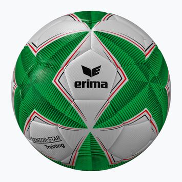 ERIMA Senzor Star Training green size 4 football