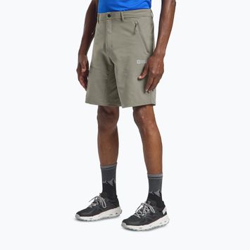 Jack Wolfskin Pico Trail stone men's trekking shorts