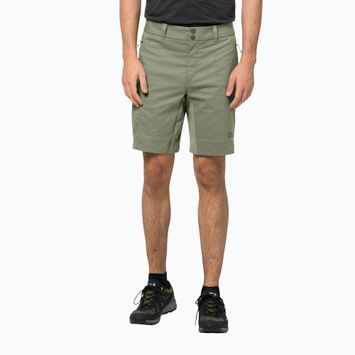 Jack Wolfskin Activate Tour men's trekking shorts green 1507441
