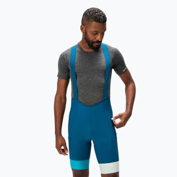 Men's Endura Loop Bibshort cycling shorts barra blue