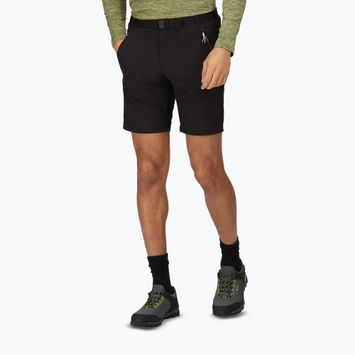 Men's Regatta Xert Stretch III trekking shorts black