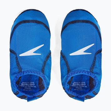 Children's pool socks Speedo Infant Pool Sock cobalt/true navy