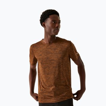 Men's trekking T-shirt REGATTA Fingal Edition fox