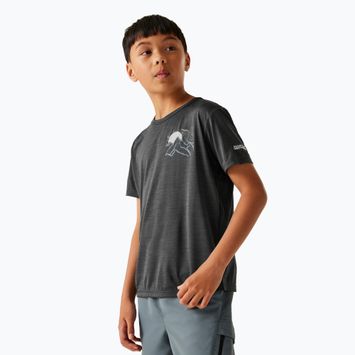 Children's T-shirt REGATTA Alvarado IX seal grey marl