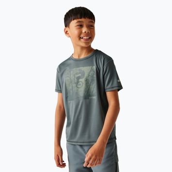 Children's T-shirt REGATTA Alvarado IX stormy weather