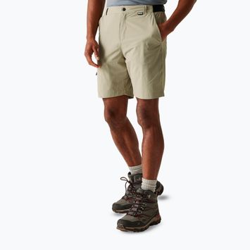 Men's trekking shorts REGATTA Travel Light Packaway golden sand