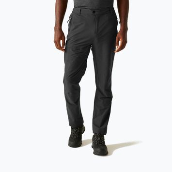 Men's trekking trousers REGATTA Highton II ash