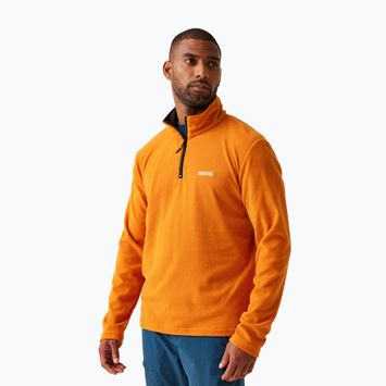 Men's fleece sweatshirt REGATTA Thompson fox