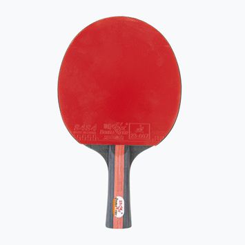 Double Fish table tennis racket CK-205