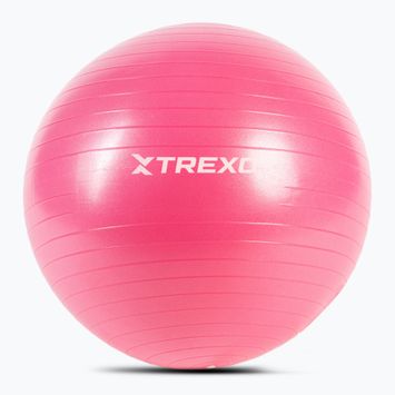 TREXO Gymball TXO-B4Z007-PK 55 cm pink