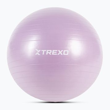Gymnastic ball XTREXO TXO-B4Z008-VT 65 cm purple