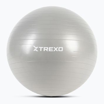 XTREXO Gymball TXO-B4Z008-GY 65 cm grey