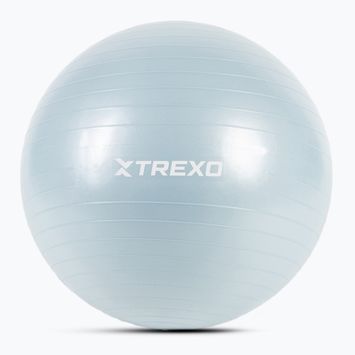 XTREXO Gymball TXO-B4Z008-BL 65 cm blue