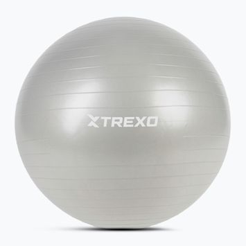 TREXO Gymball TXO-B4Z009-GY 75 cm grey