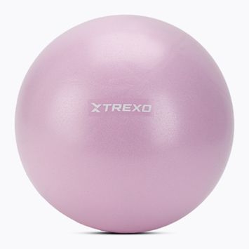 TREXO mini gymnastics ball TXO-B4Z011-VT 25 cm purple