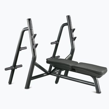 Technogym Olympic Bench Press PA07 training bench with barbell rack