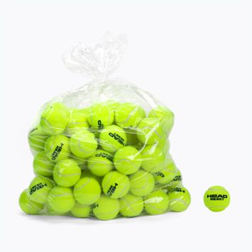 HEAD Reset Polybag tennis balls 72 pcs green 575030