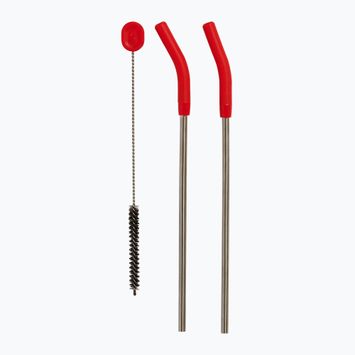 Hydro Flask Stainless Steel Straws 2 pcs goji