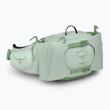 Waistbag Osprey Tempest 6 l frosty mint/ green botanica