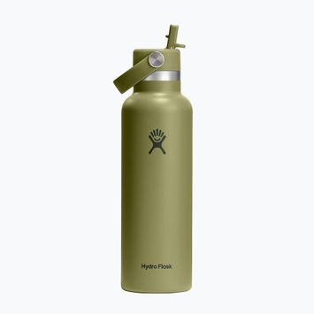 Thermal bottle Hydro Flask Standard Flex 621 ml palmer green