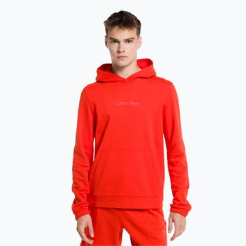 Men's Calvin Klein Hoodie XNZ hazard sweatshirt