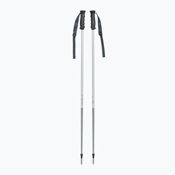 One Way GT 16 ghost ski poles