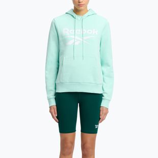 Women's Reebok Identity Big Logo Fleece glitch aqua sweatshirt