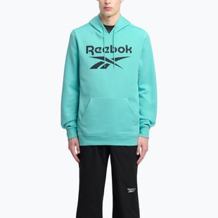 Men's Reebok Identity Big Logo Fleece Hoodie ai aqua