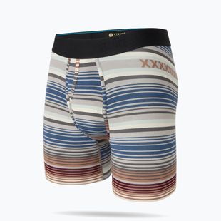 Men's boxers Stance Curren Wholester multicolor