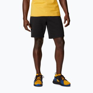 Men's Columbia Logo Fleece trekking shorts black 1884601010